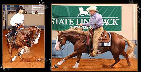 RR Star - Reining Stallion